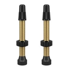 WTB TCS Brass 46mm Valve Gold